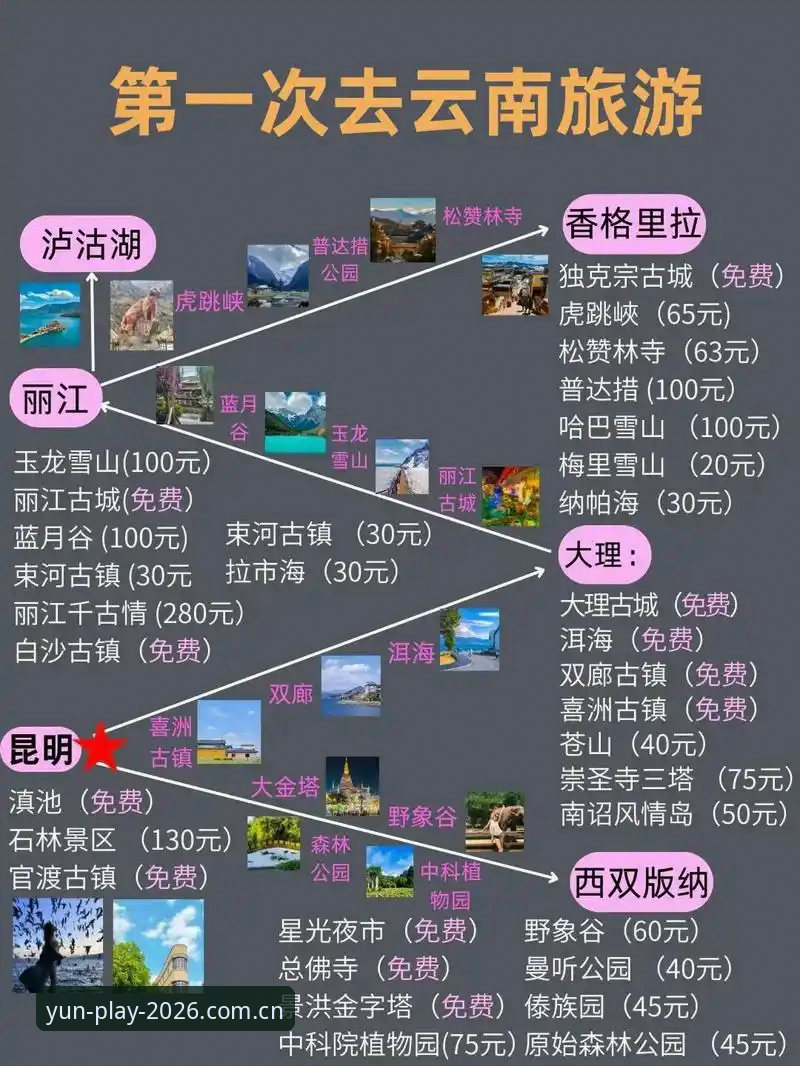 云体育官网入口 vs APP下载：2026新版选择攻略，哪条路径更高效？